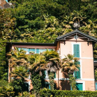 White and Brown House Surrounded by Green Trees